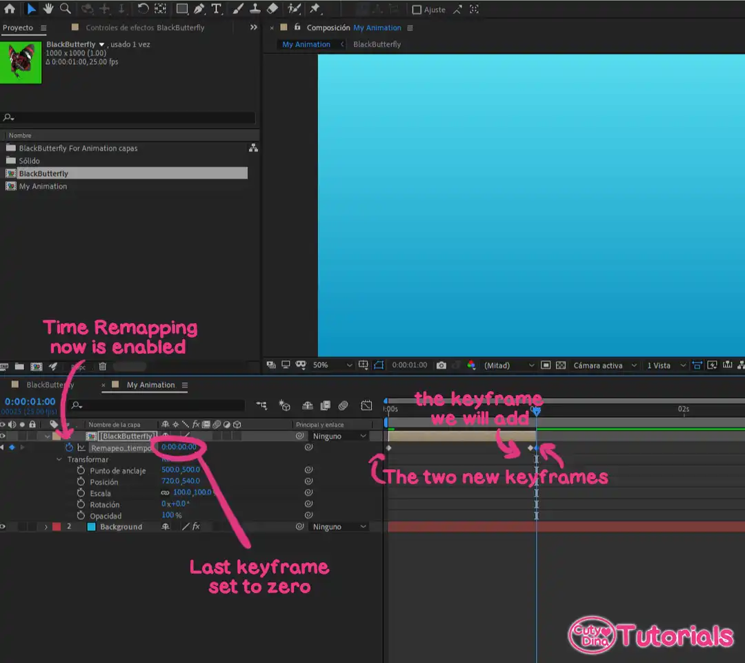Tutorial14